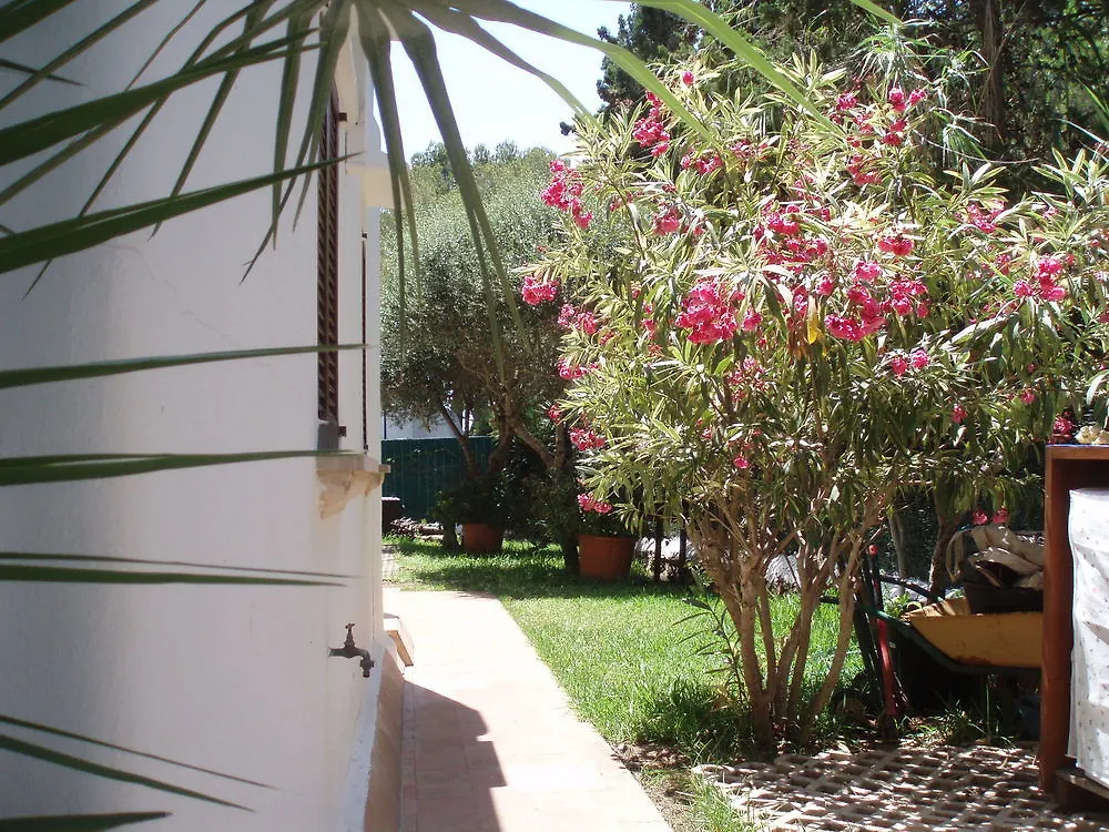 Apartment Apartamentos Osa Menor Cala d'Or